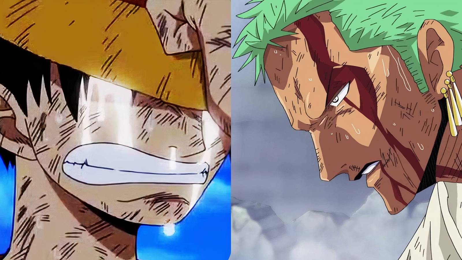 Luffy Zoro One Piece