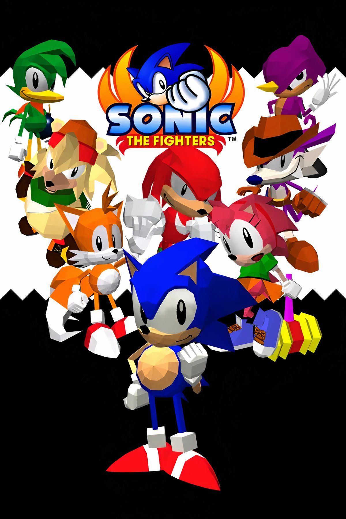 Sonic the Fighters Tag Page Cover Art