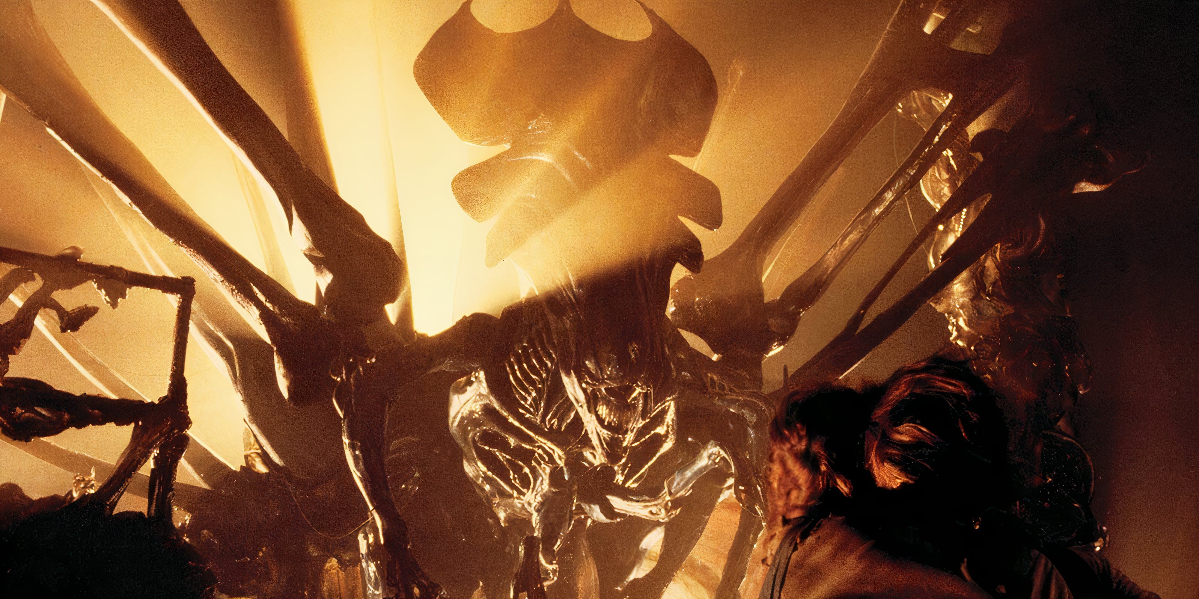 Every Alien Movie, Ranked Ripley and Newt confront the Alien Queen