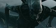 With Ridley Scott Out On Alien Could Neill Blomkamp Finally Take Over 