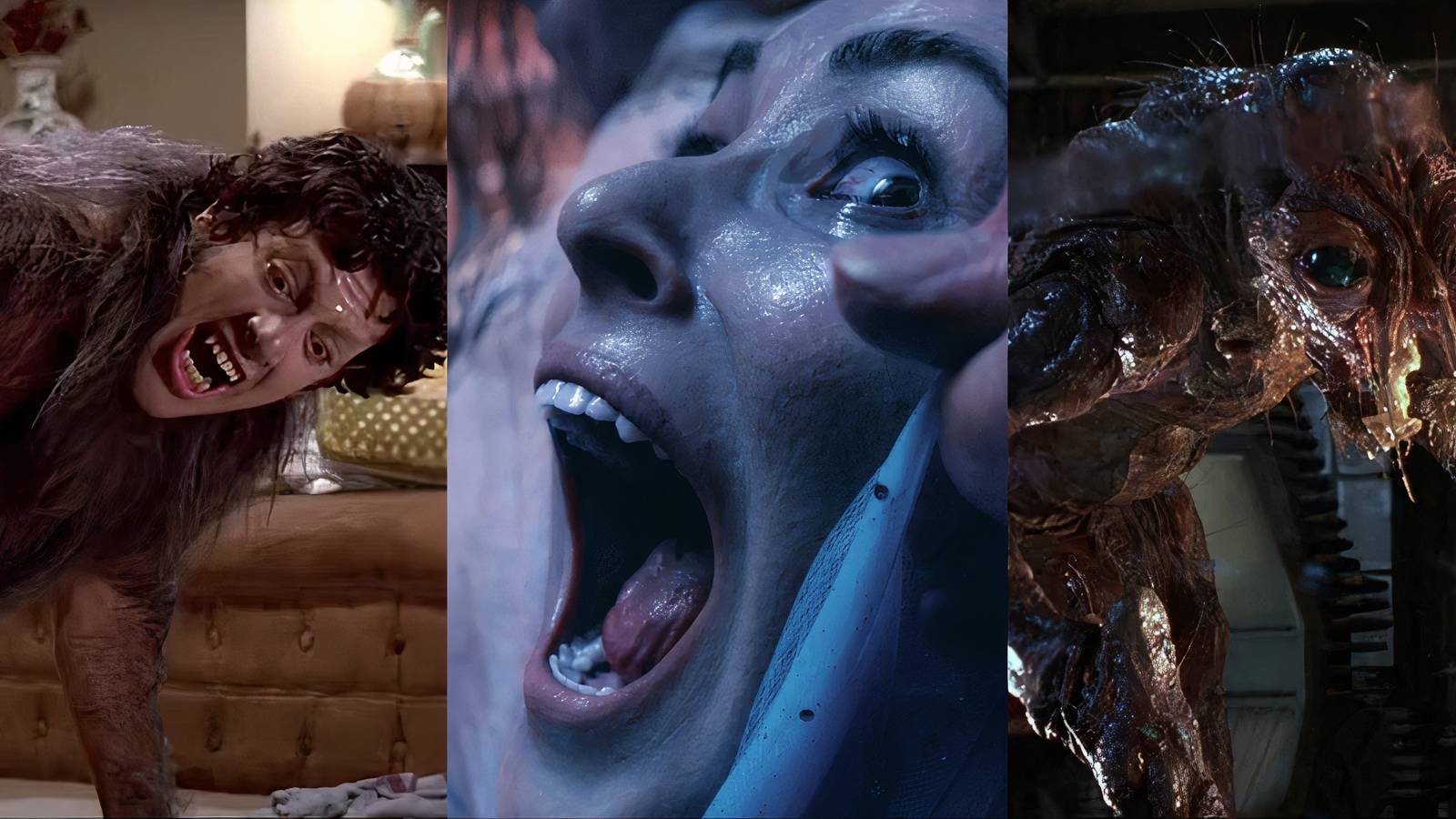 Best Transformation Horror Movies, Ranked: American Werewolf In London, The Substance, The Fly