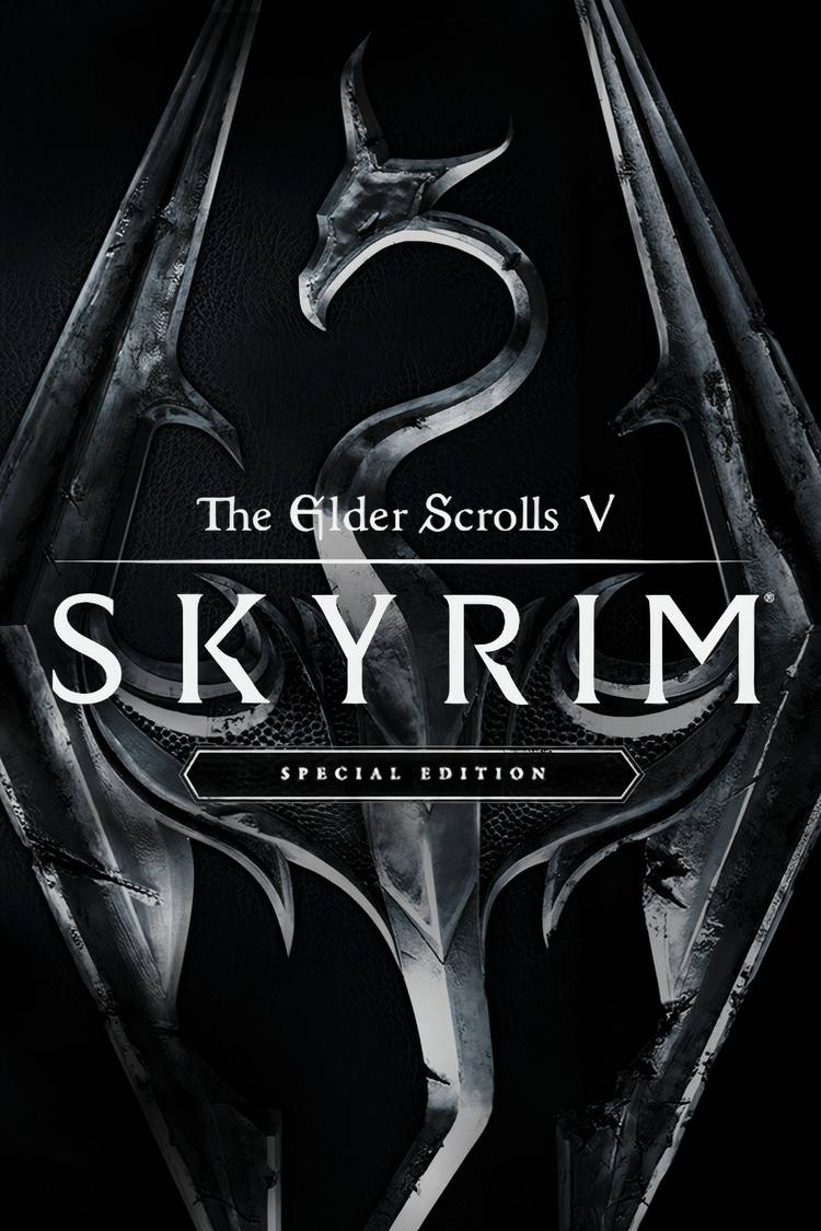 The Elder Scrolls V: Skyrim Special Edition Tag Page Cover Art
