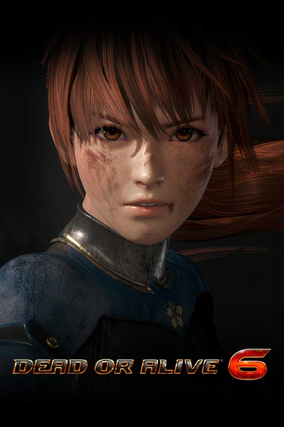 Dead or Alive 6 Tag Page Cover Art