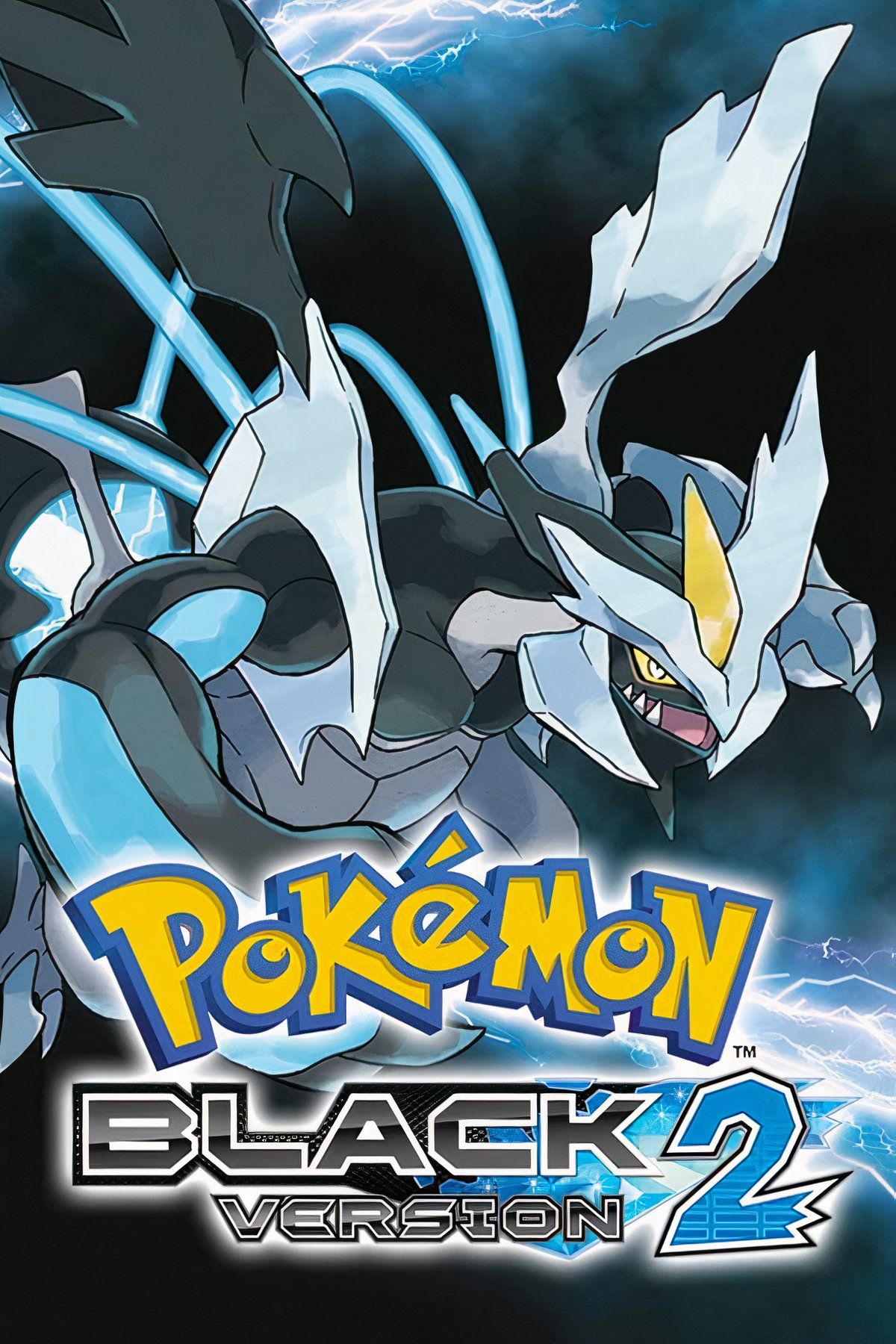 Pokemon Black 2 Tag Page Cover Art