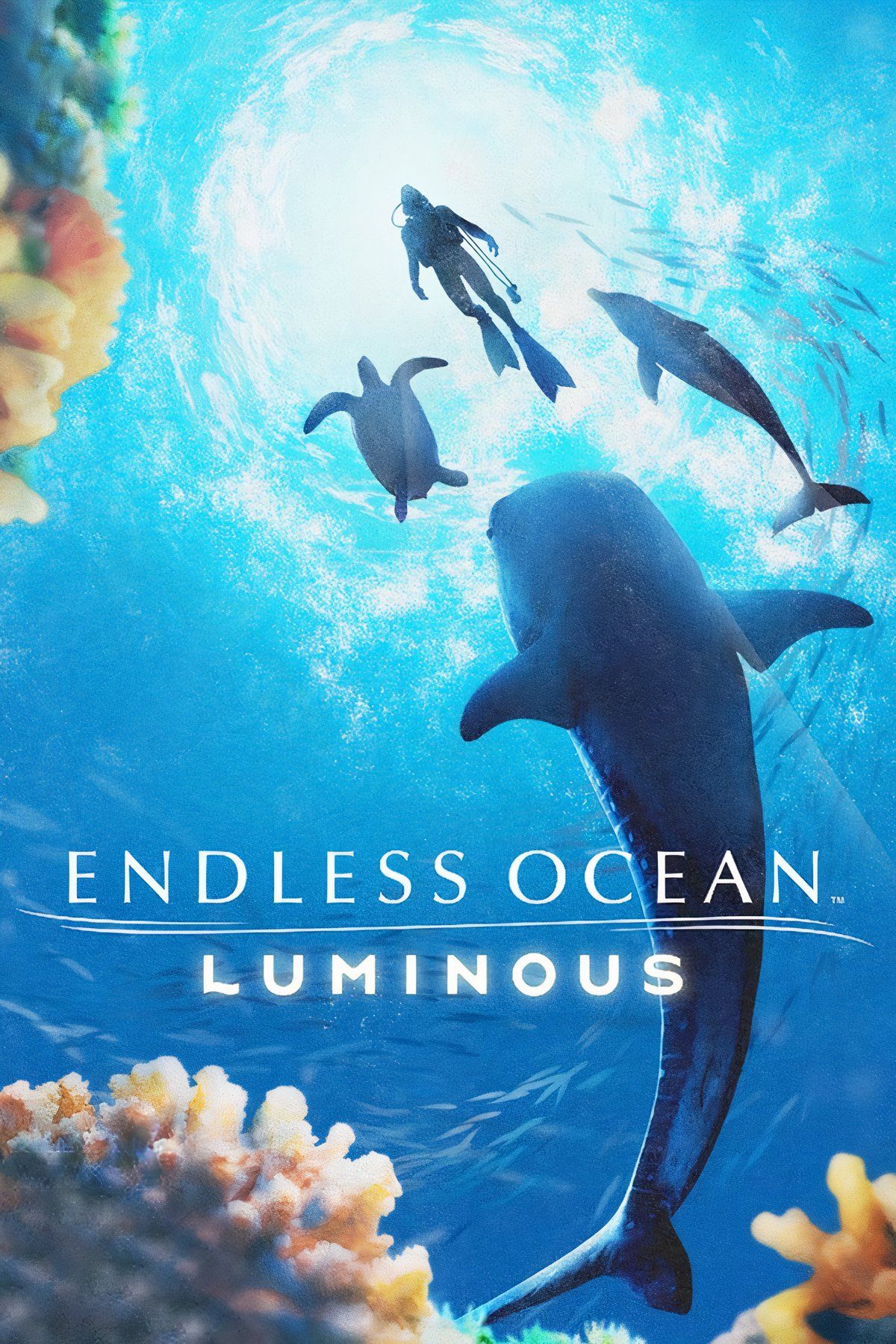 Endless Ocean Luminous Tag Page Cover Art