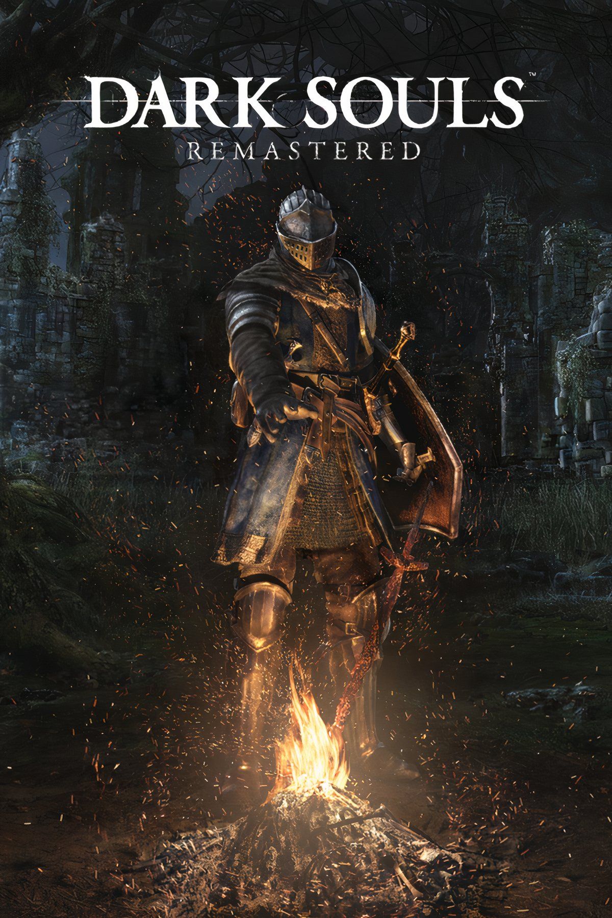 Dark Souls Remastered Tag Page Cover Art