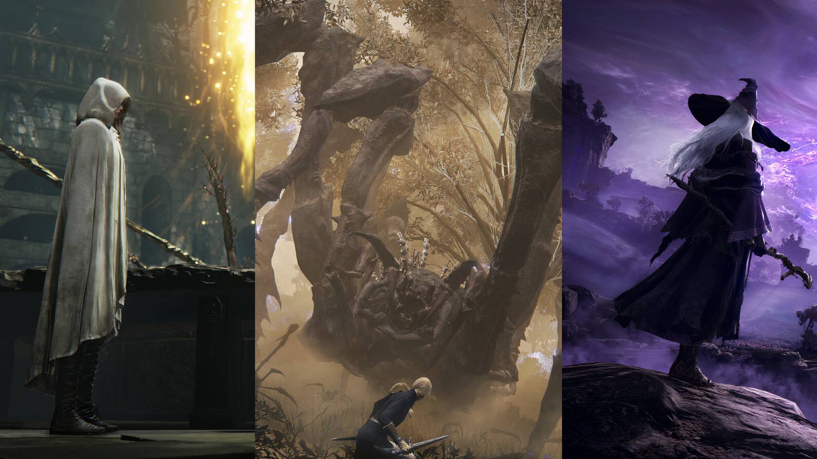 Elden Ring Nightreign: X Dark Souls Bosses That Would Be Perfect For The Game images from Elden Ring nightreign