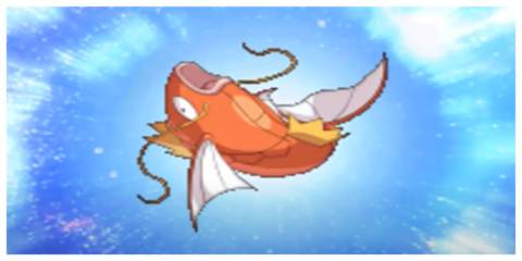 Magikarp Evolving