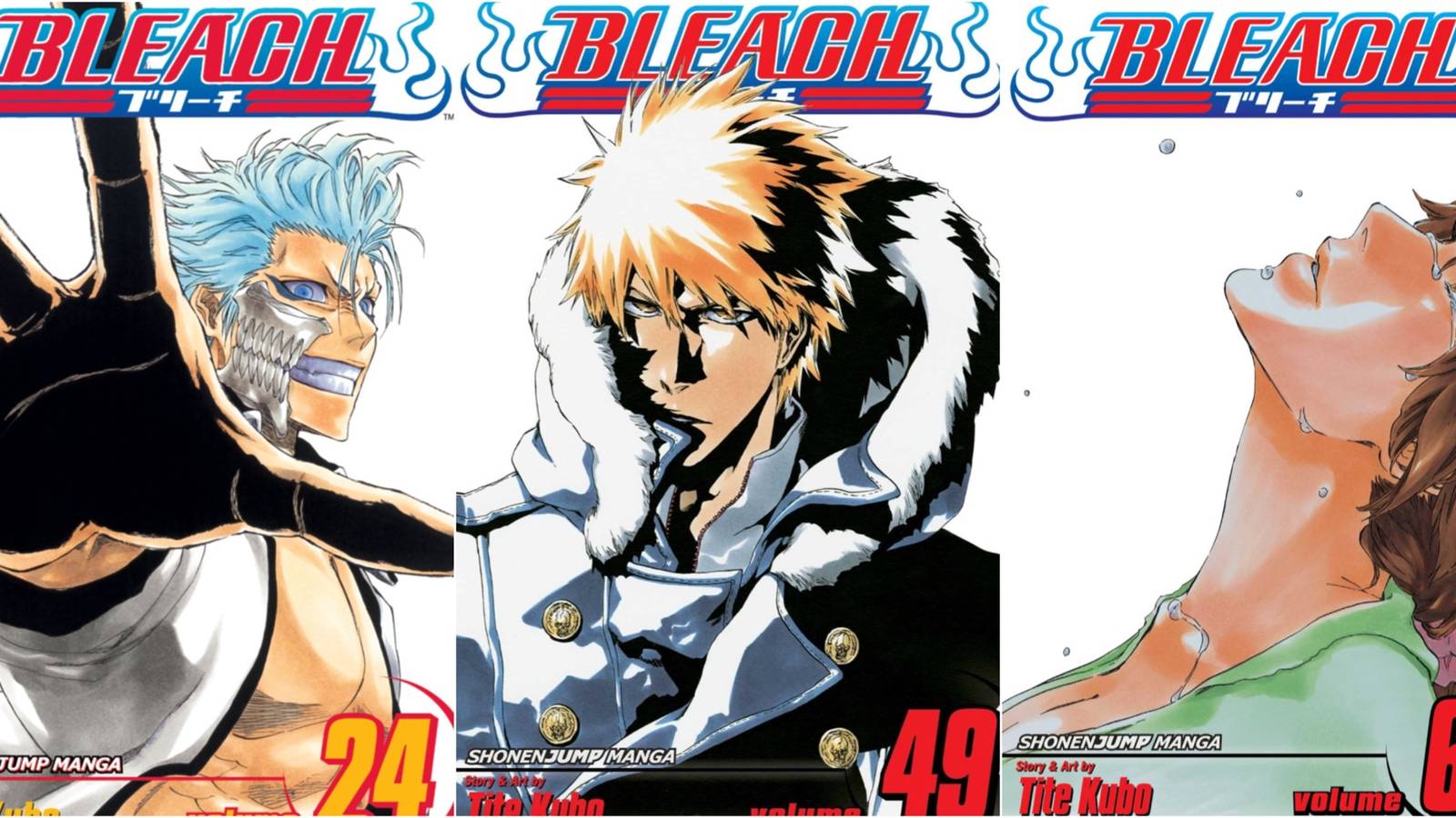 Bleach volume covers 