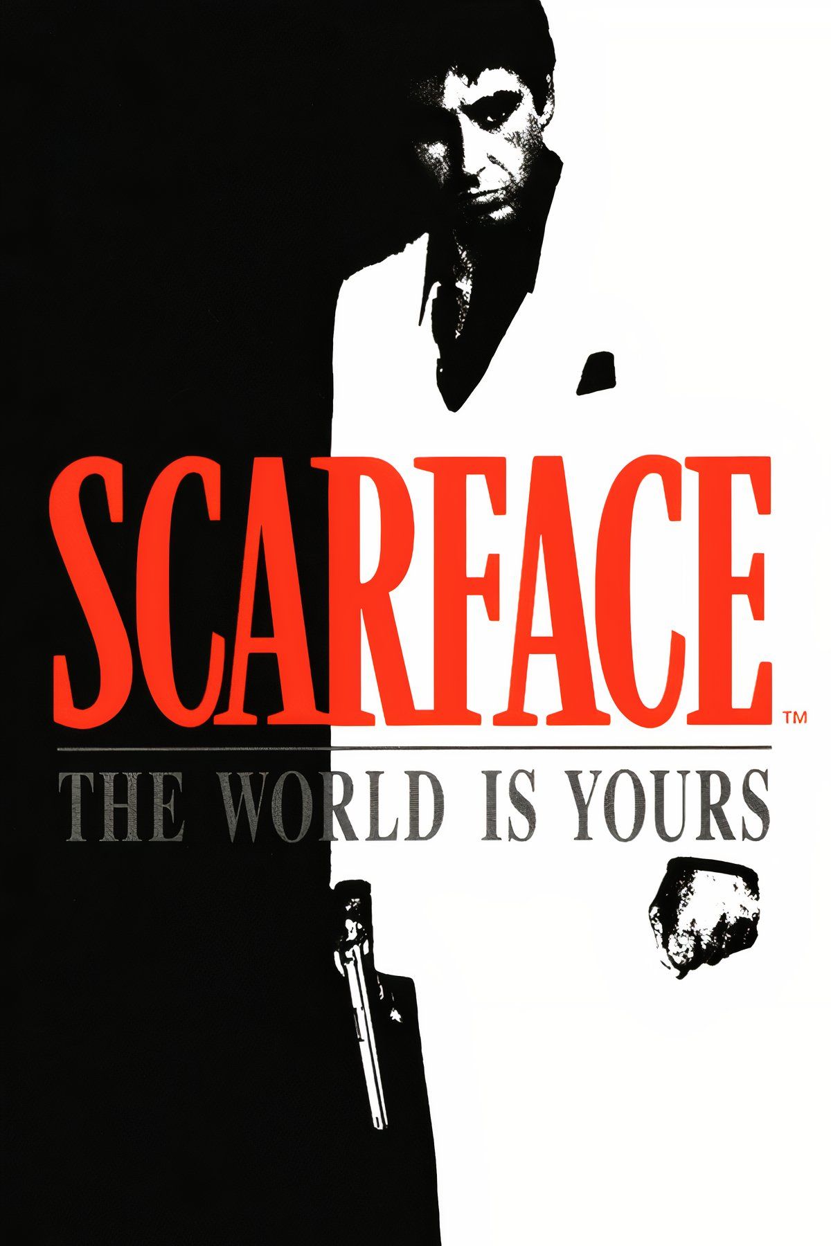 Scarface: The World Is Yours Tag Page Cover Art