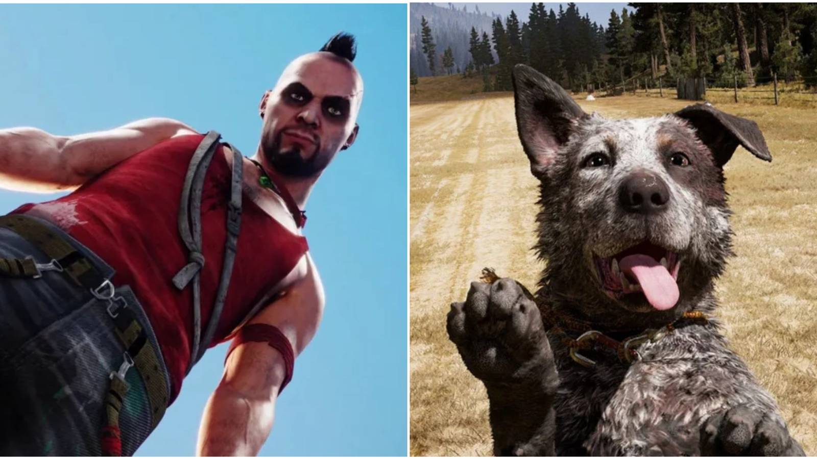 Far Cry Games With The Best Gameplay, Ranked