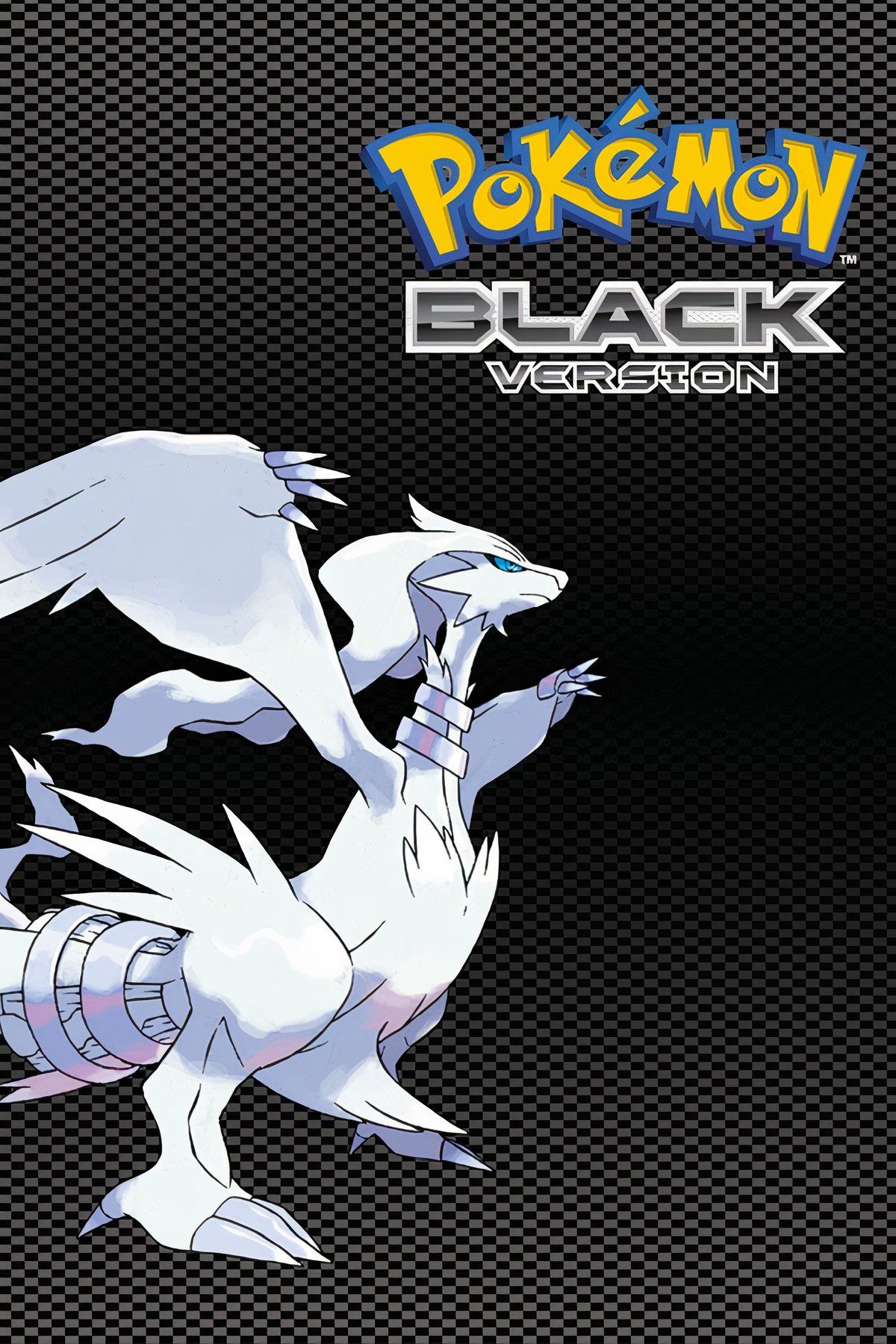 Pokémon Black Tag Page Cover Art