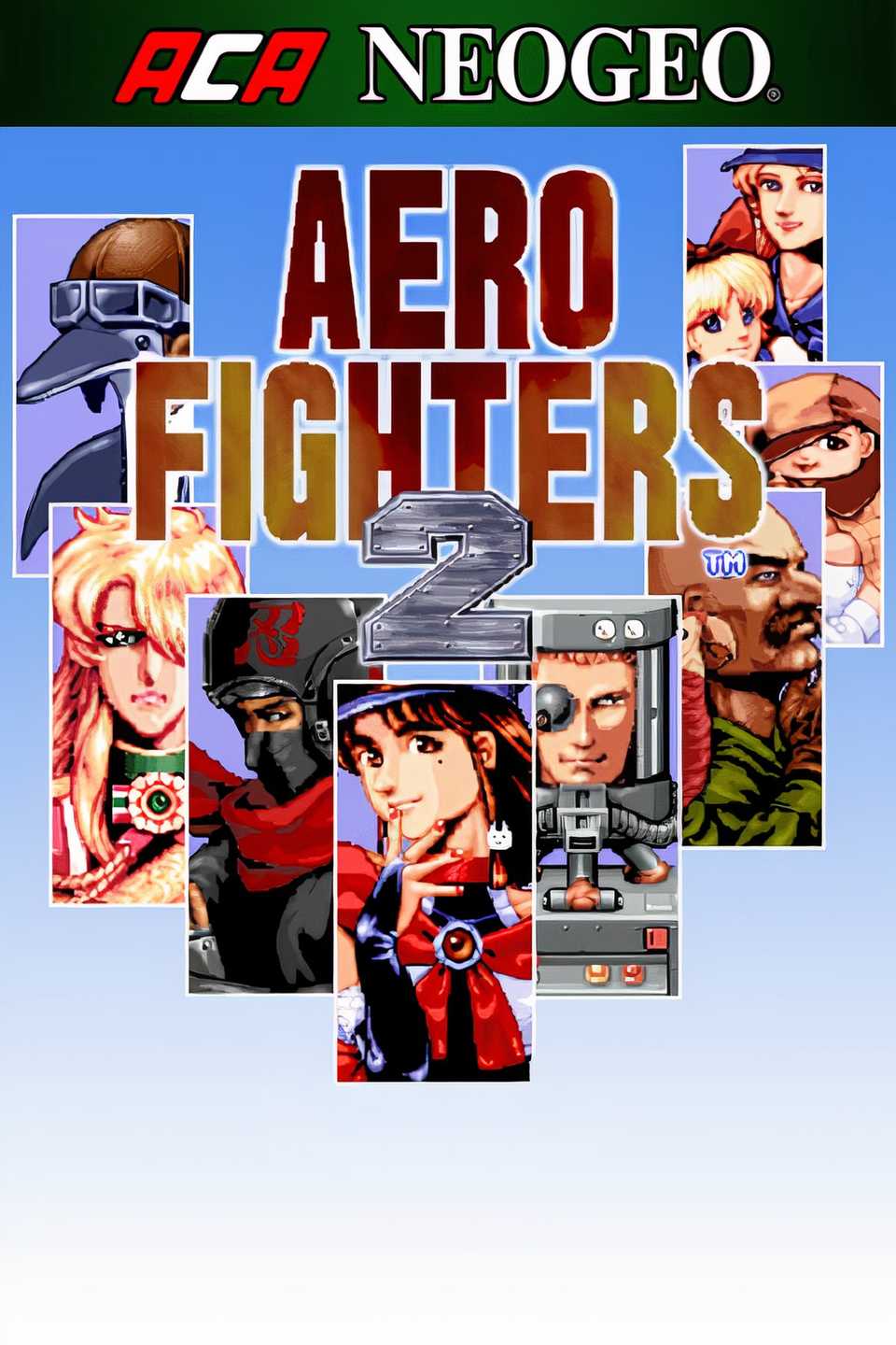 Aero Fighters Tag Page Cover Art