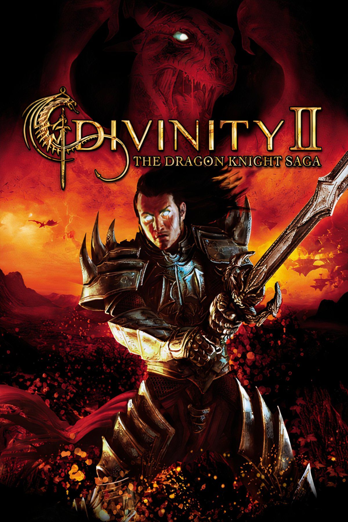 Divinity II: The Dragon Knight Saga Tag Page Cover Art