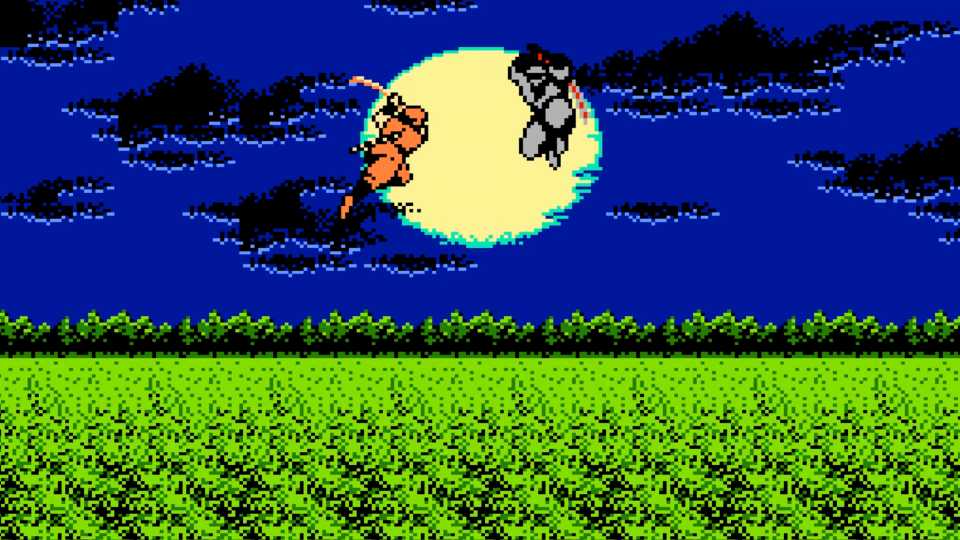 Ninja Gaiden In Game Screenshot 1