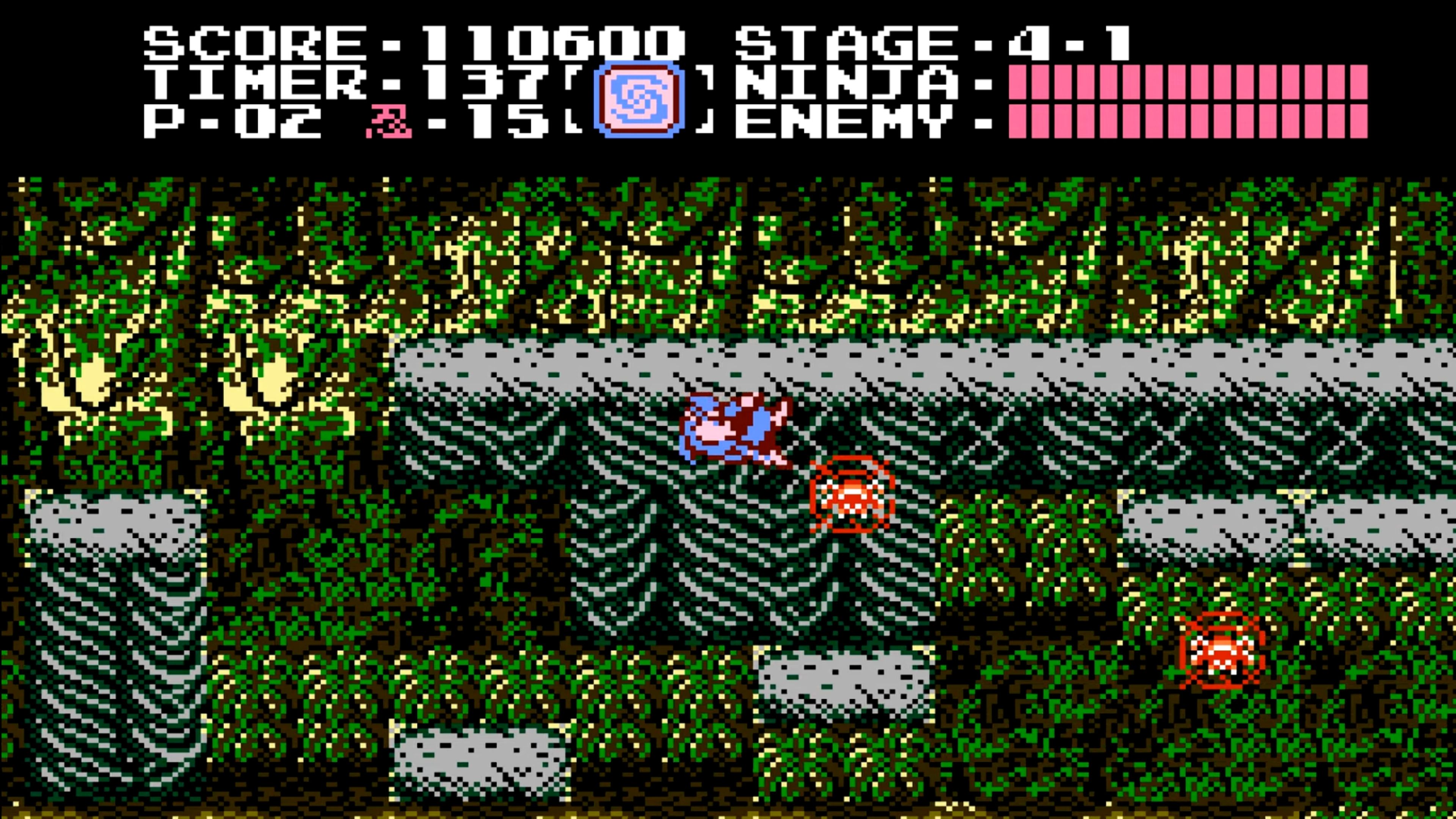 Ninja Gaiden In Game Screenshot 5