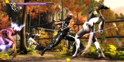Ninja Gaiden Sigma Fighting Demons