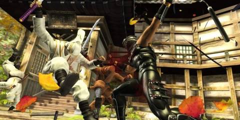 Ninja Gaiden Sigma Fighting Ninjas