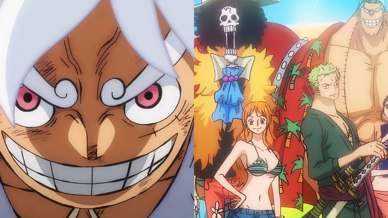 One Piece Luffy Straw Hat Crew