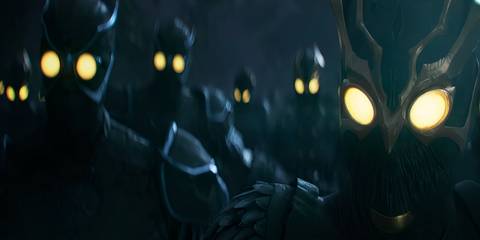 close shot of talons