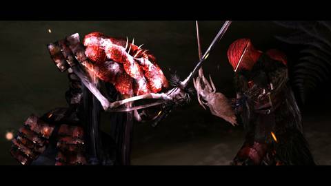 Perennial Order Press image 1