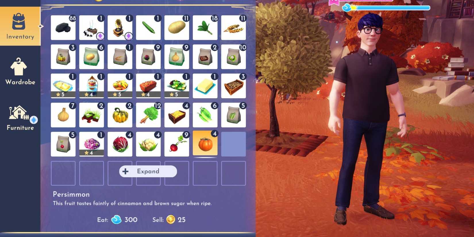 persimmon in player's inventory ddv