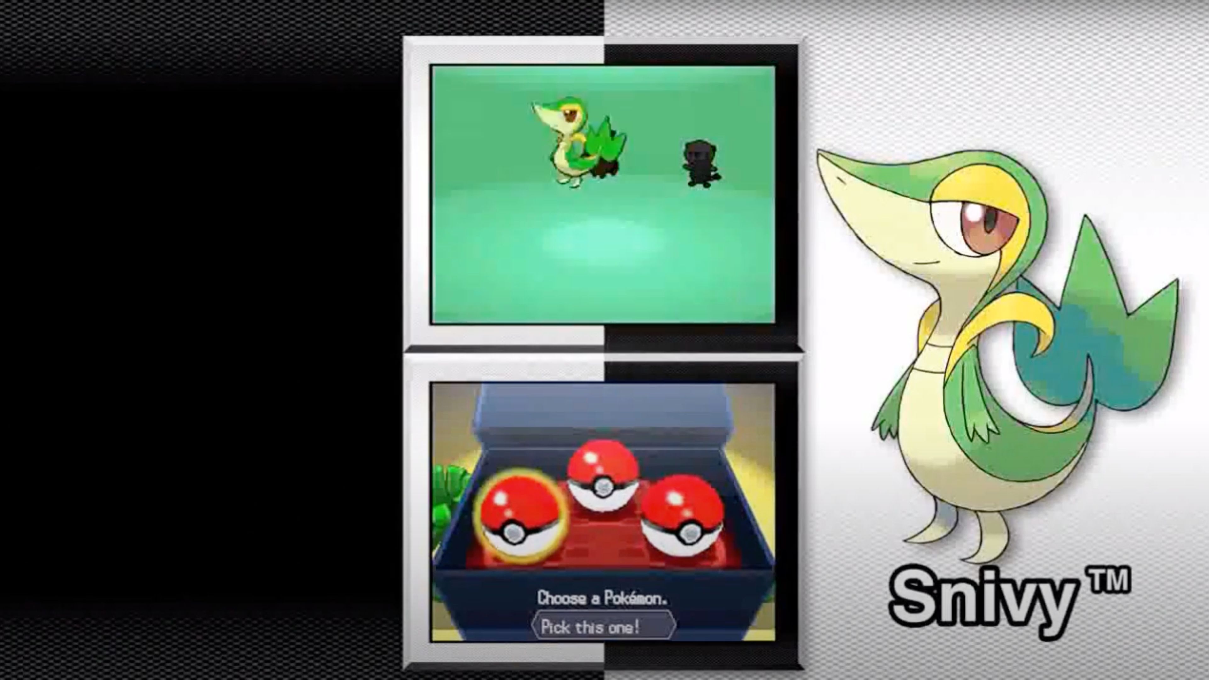 Pokemon Black and White In Game Screenshot 2