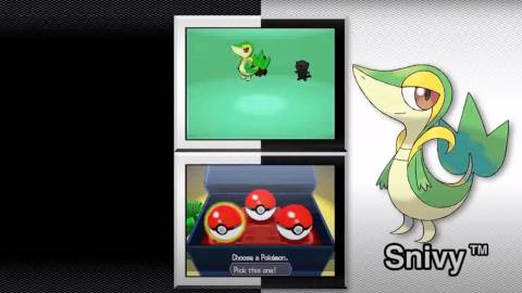 Pokemon Black and White In Game Screenshot 2