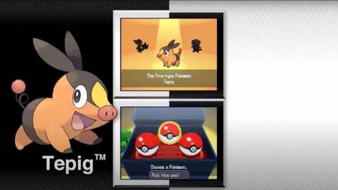 Pokemon Black and White In Game Screenshot 3