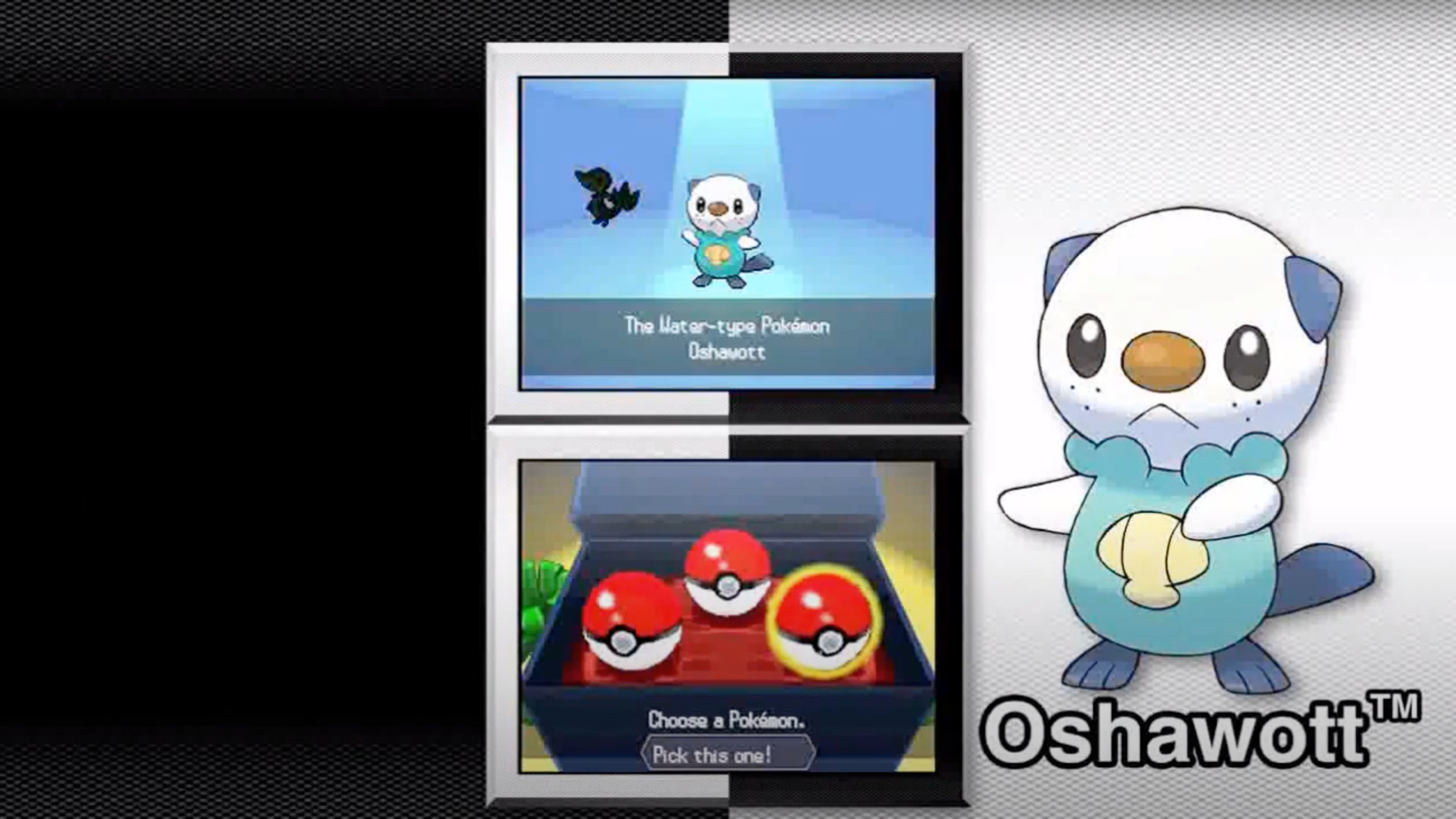 Pokemon Black and White In Game Screenshot 4