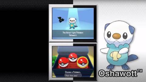 Pokemon Black and White In Game Screenshot 4