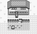 Pokemon Red Press Image 3