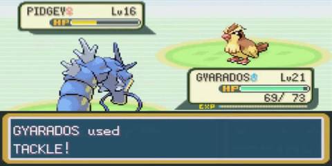 A level 21 Gyarados battling a level 12 Pidgey 