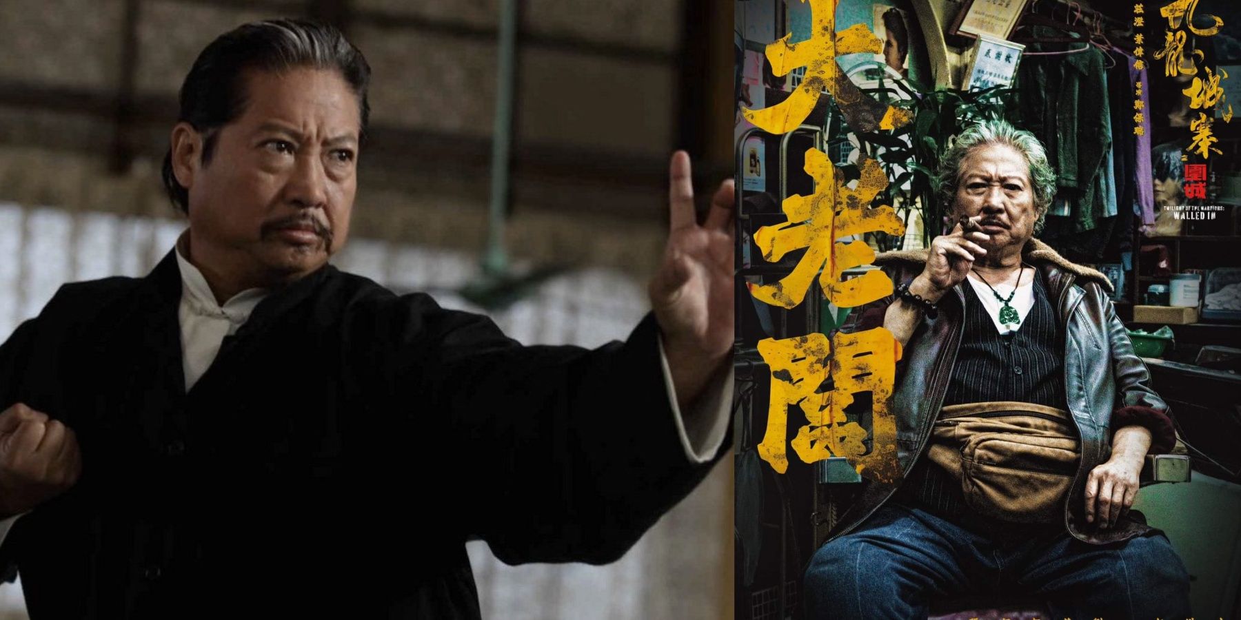 This Certified Fresh Martial Arts Movie Stars A Hong Kong Action Legend