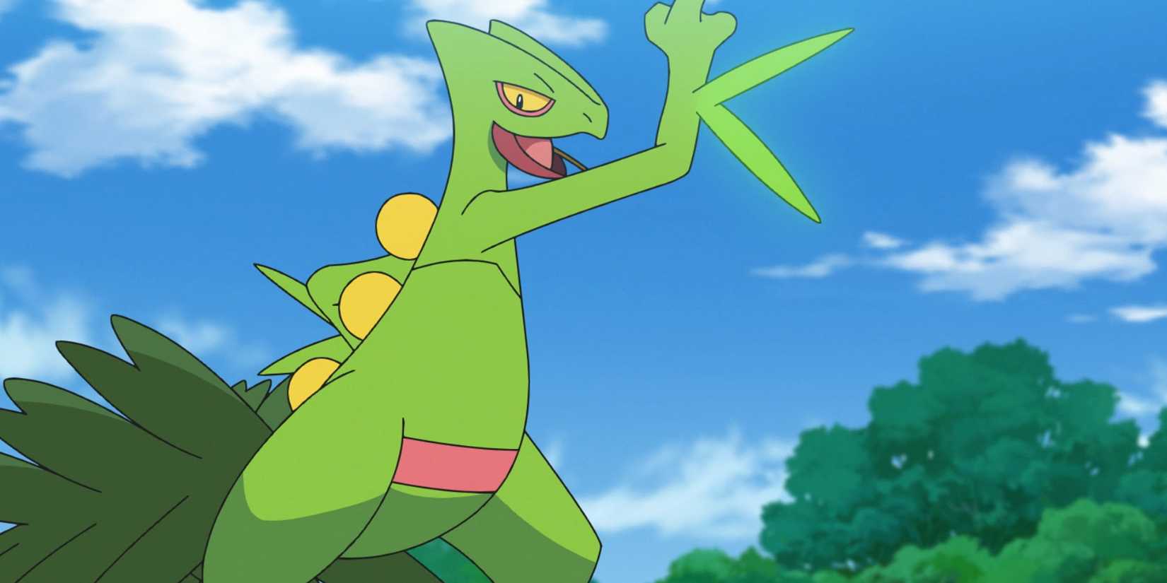 Sceptile In The Pokemon Anime