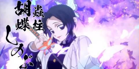 shinobu insect hashira