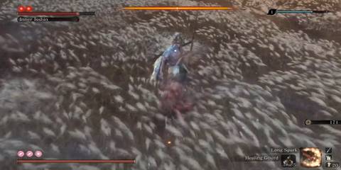 Sekiro Shadows Die Twice Inner Isshin