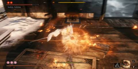 Sekiro Shadows Die Twice Isshin Ashina fight
