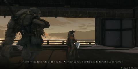 Sekiro Shadows Die Twice Sekiro and Owl