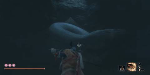 Sekiro Shadows Die Twice serpent viscera location
