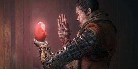 Sekiro Shadows Die Twice Wolf