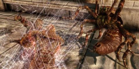 An image of the Shapeshifting specialization being used in Dragon Age Origins