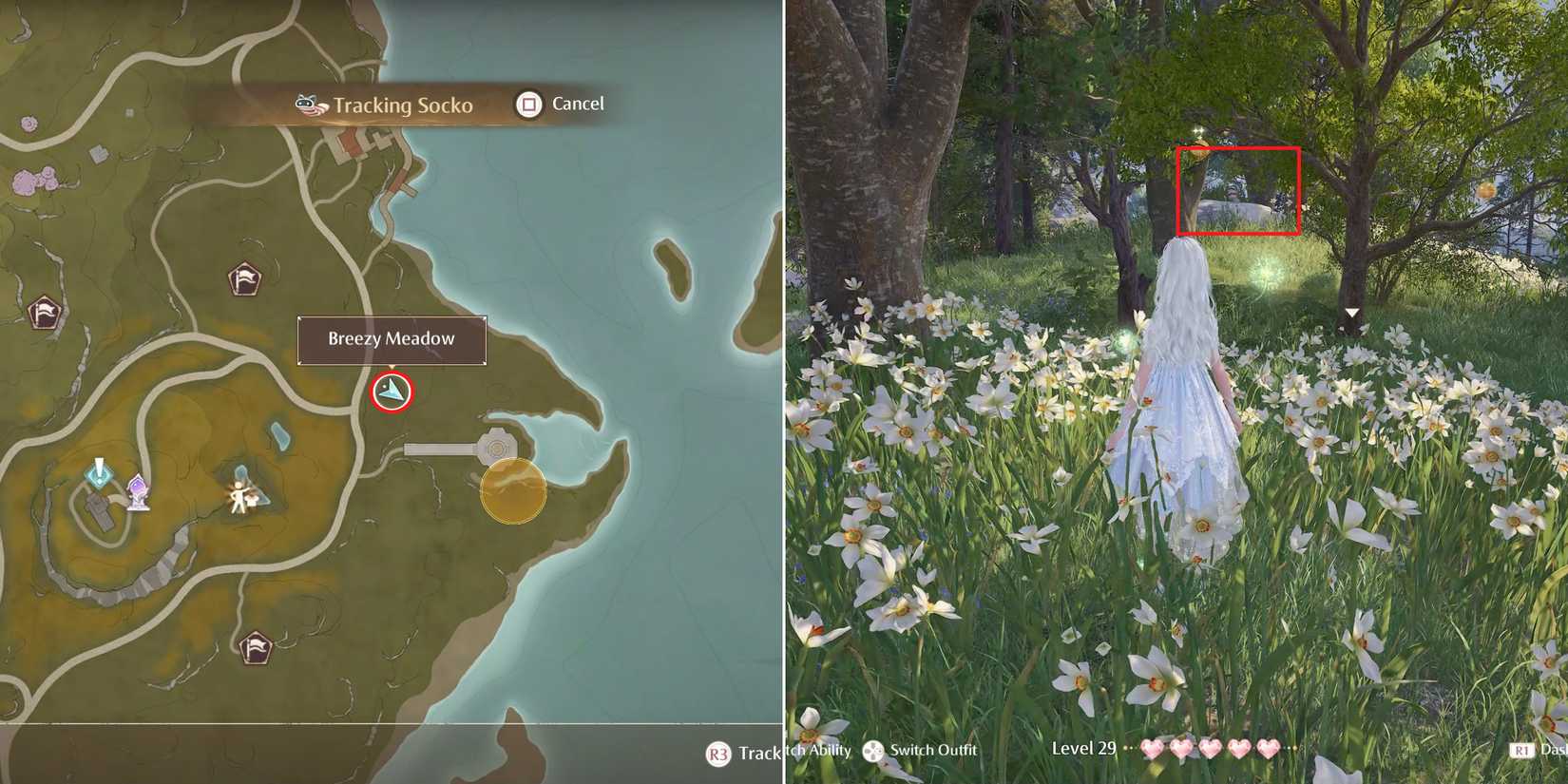 socko location 4 in infinity nikki