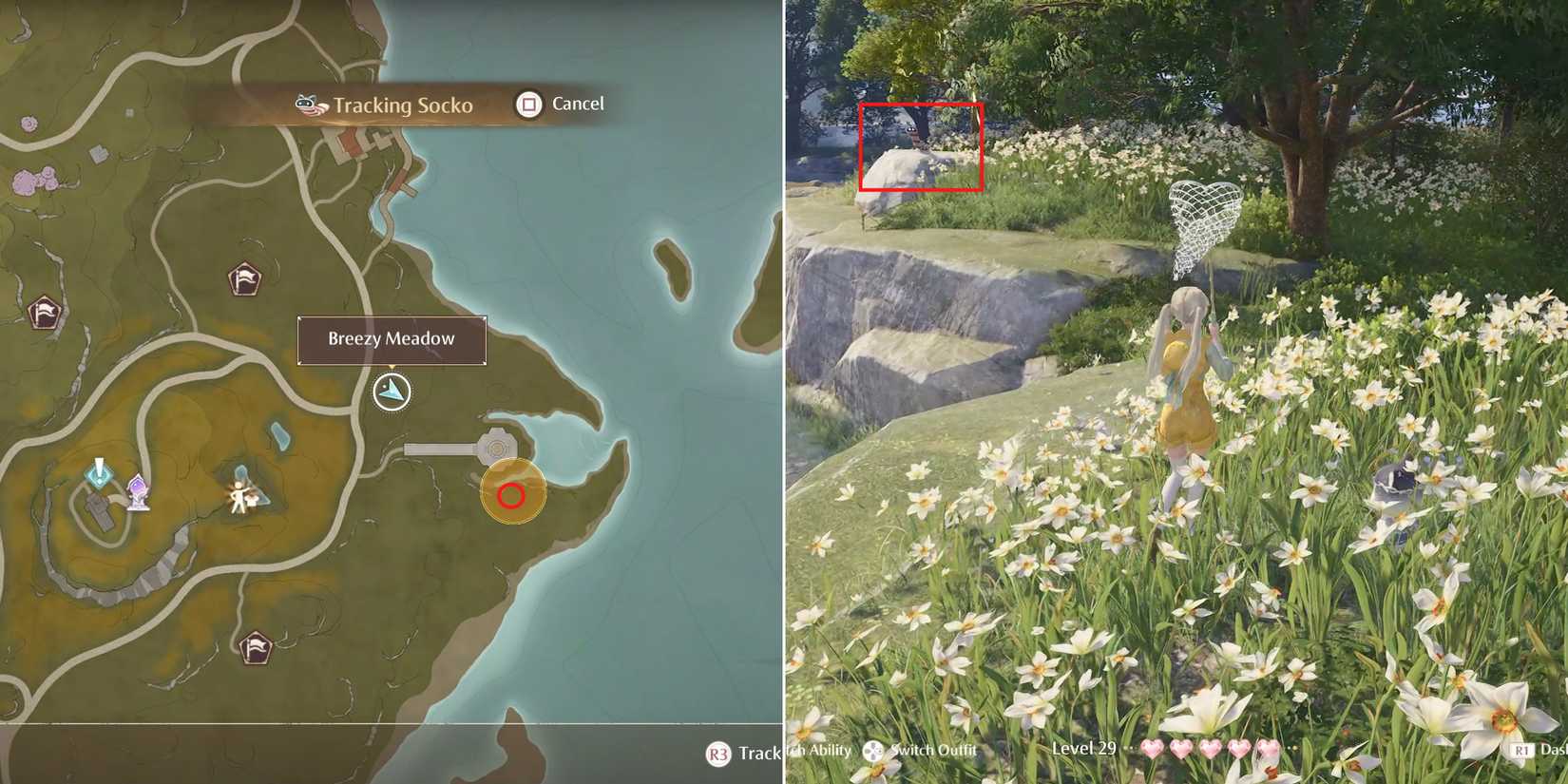 socko location 5 in infinity nikki