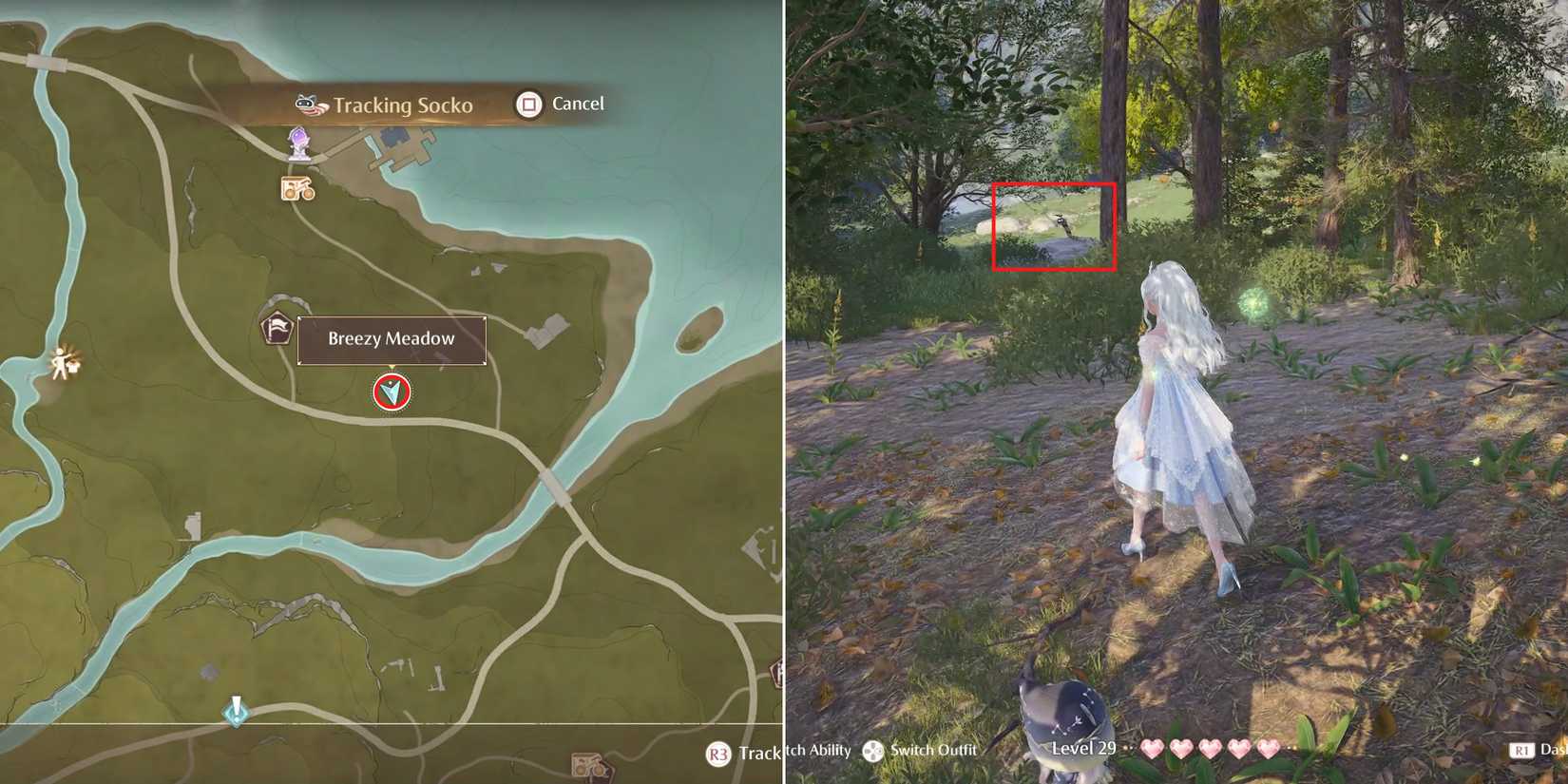 socko location 6 in infinity nikki