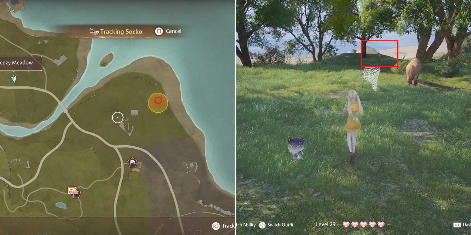 socko location 7 in infinity nikki