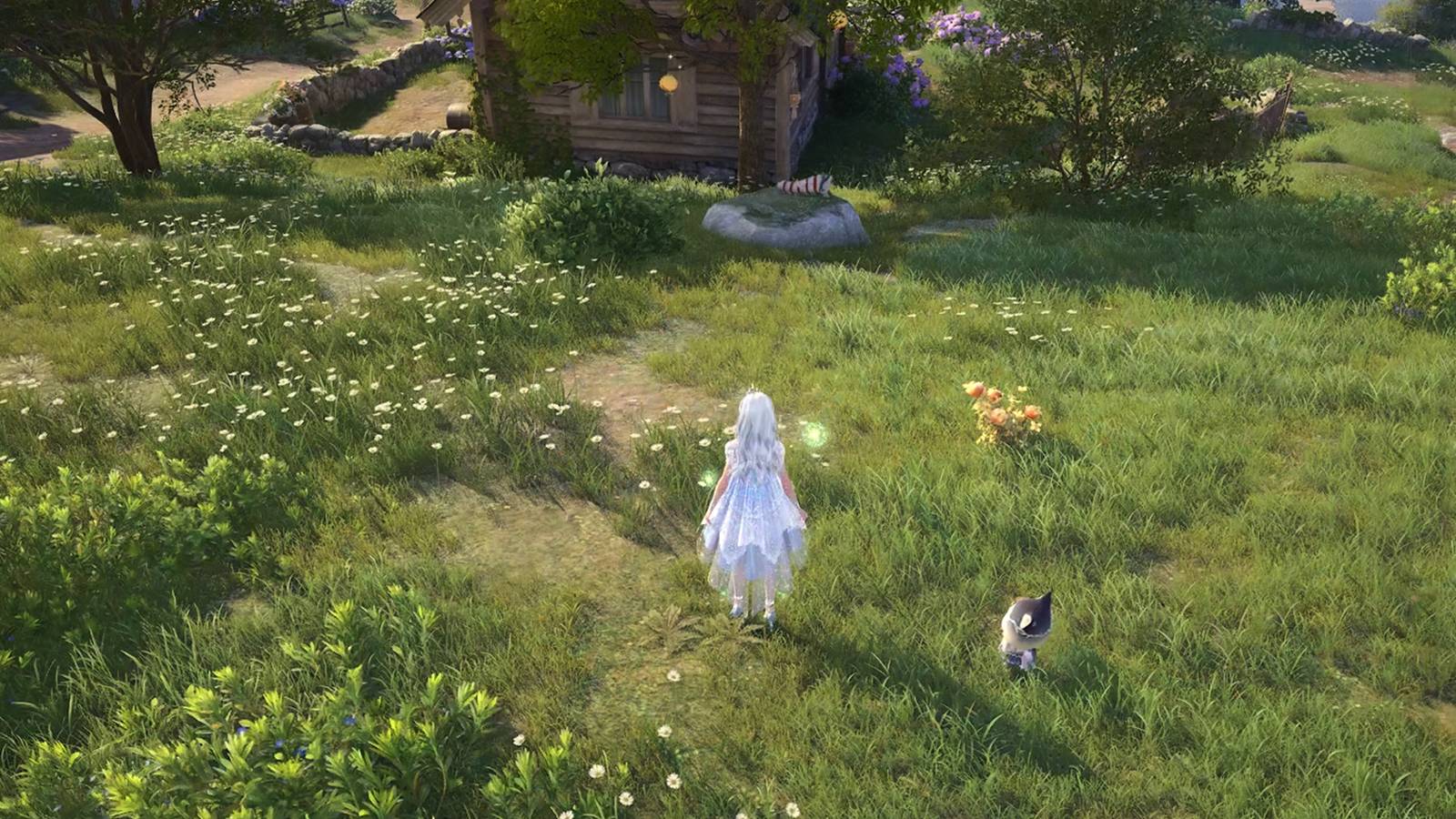 socko location in infinity nikki