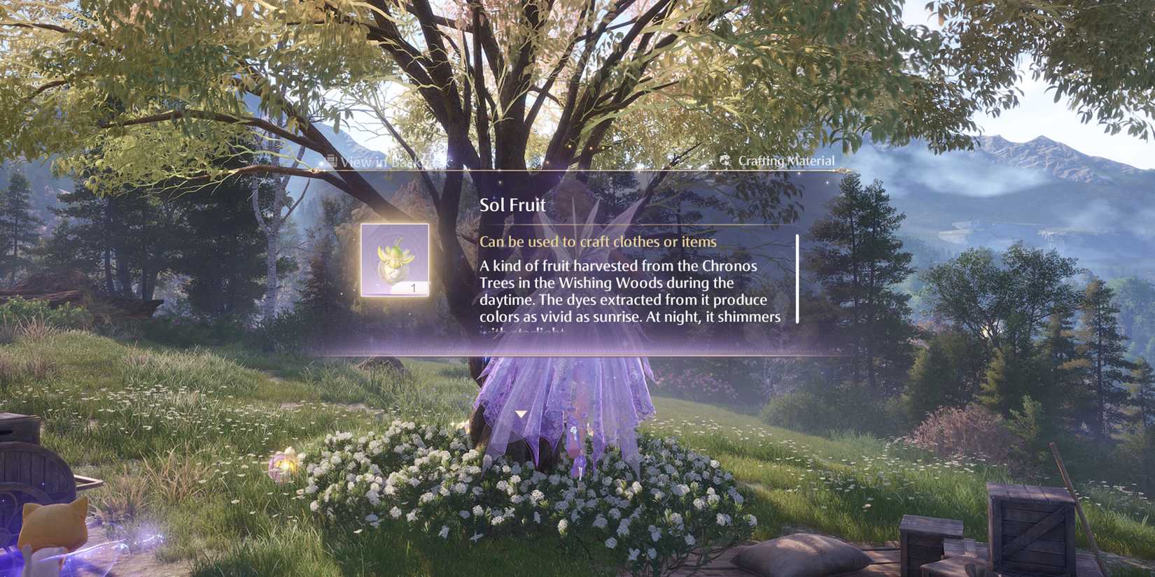 Sol Fruit In Infinity Nikki