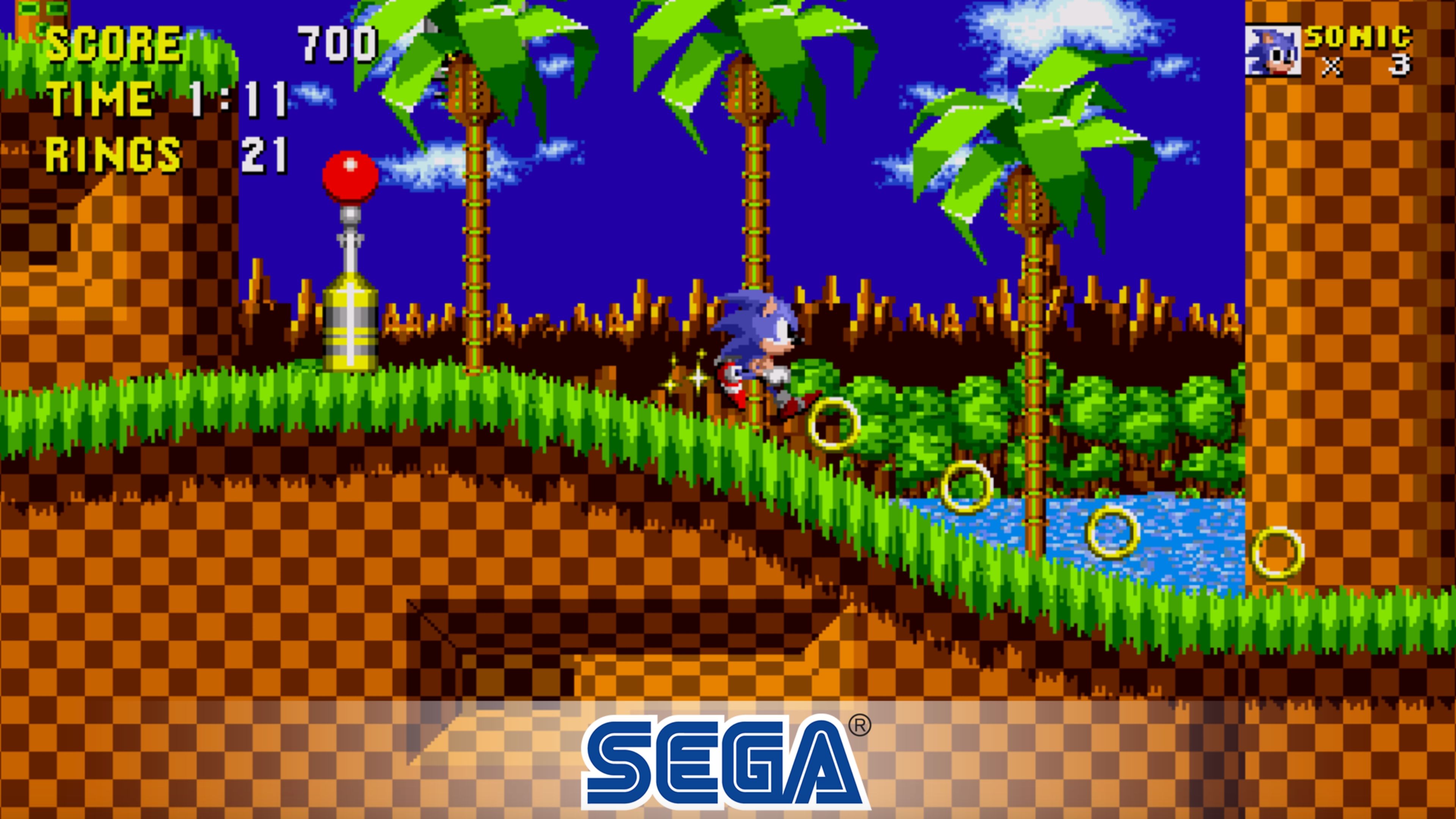 Sonic the Hedgehog In Game Screenshot 2