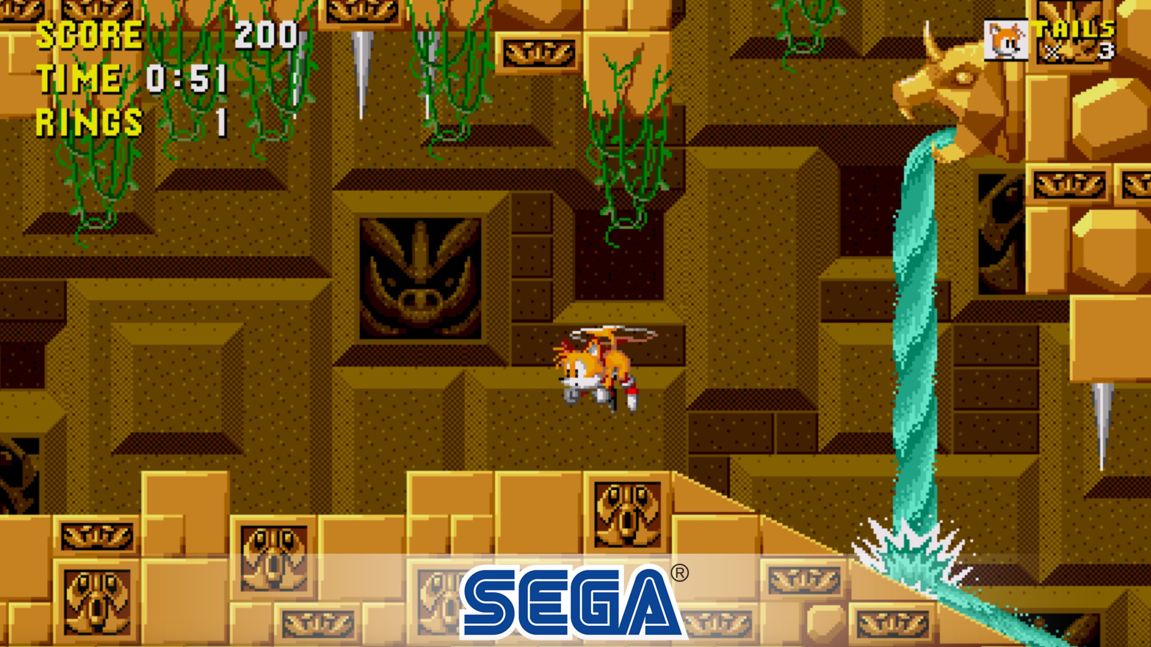 Sonic the Hedgehog In Game Screenshot 5